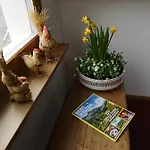 Friedegg