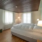 Friedegg Wildhaus